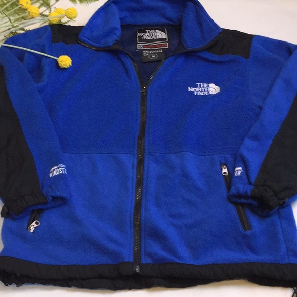 the north face summit series waterproof breathable